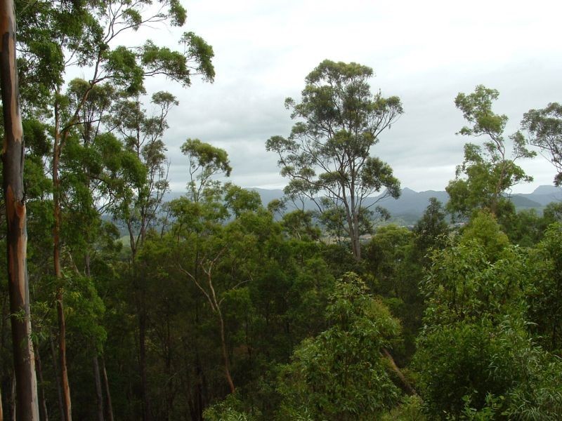 Stokers Siding NSW 2484