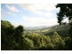 Murwillumbah NSW 2484