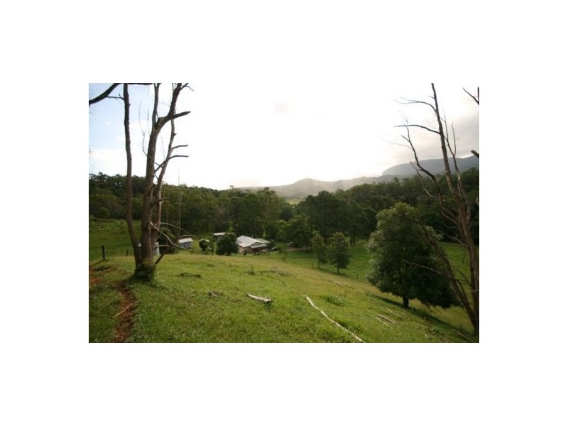 Murwillumbah NSW 2484