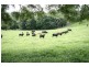 Murwillumbah NSW 2484