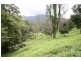 Murwillumbah NSW 2484