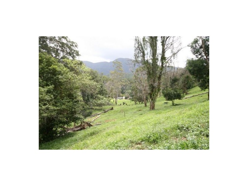 Murwillumbah NSW 2484
