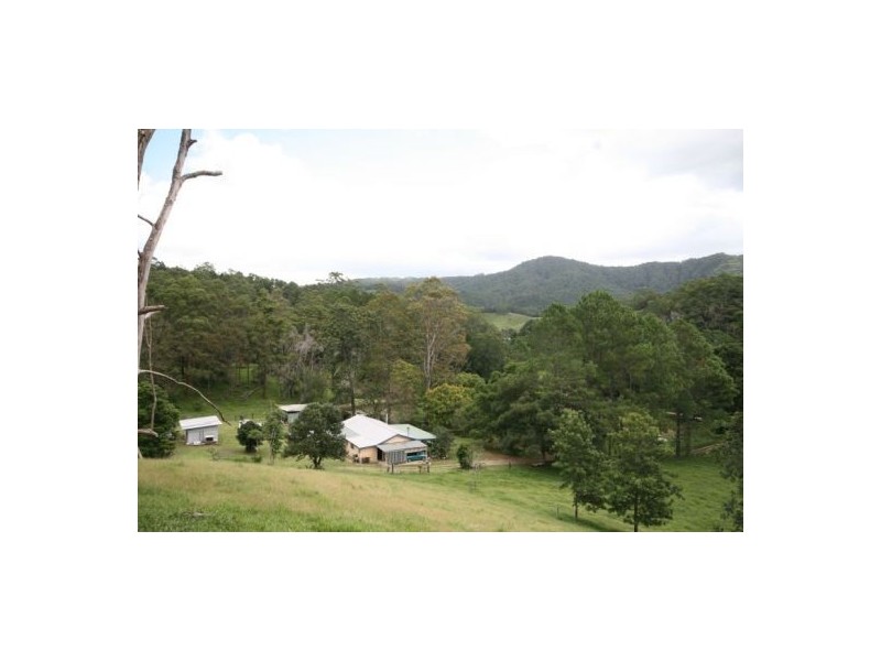 Murwillumbah NSW 2484