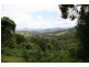 Murwillumbah NSW 2484