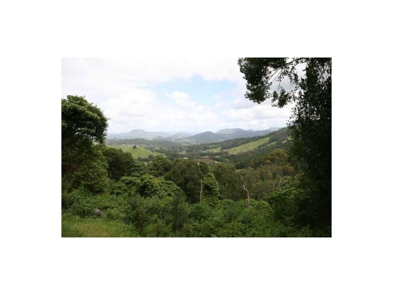 Murwillumbah NSW 2484