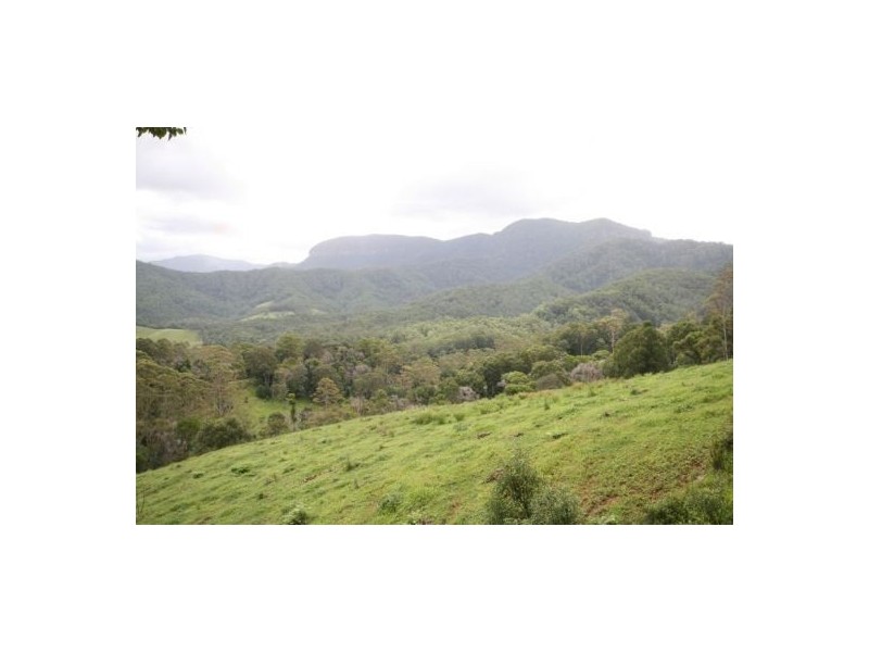 Murwillumbah NSW 2484