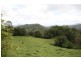 Murwillumbah NSW 2484