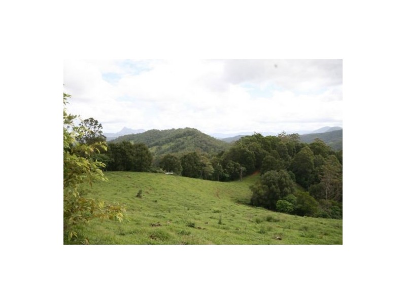 Murwillumbah NSW 2484