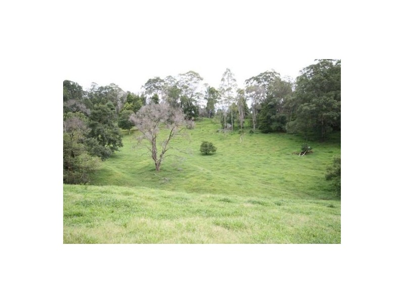 Murwillumbah NSW 2484
