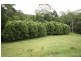 Murwillumbah NSW 2484