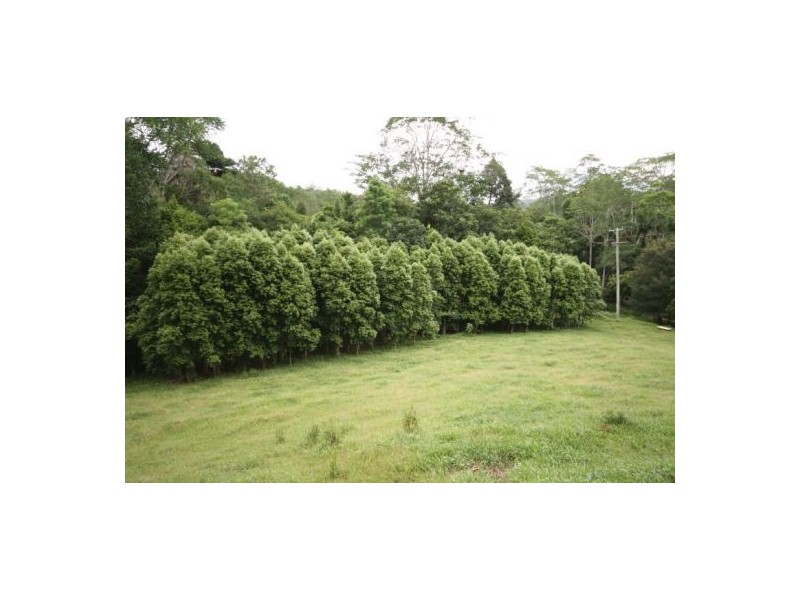 Murwillumbah NSW 2484