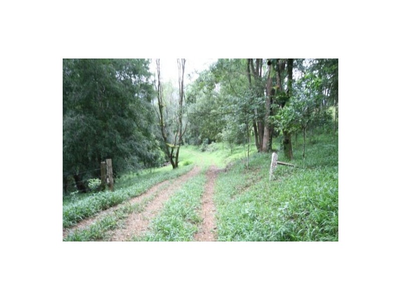 Murwillumbah NSW 2484