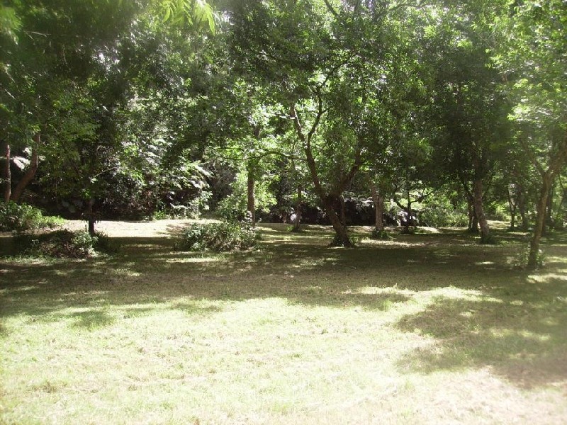 Main Arm NSW 2482