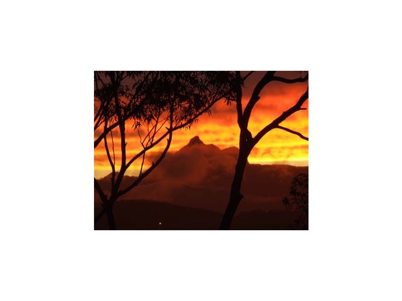 Murwillumbah NSW 2484