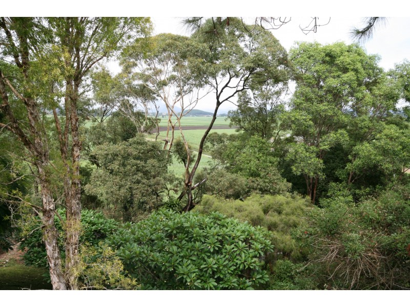 Murwillumbah NSW 2484