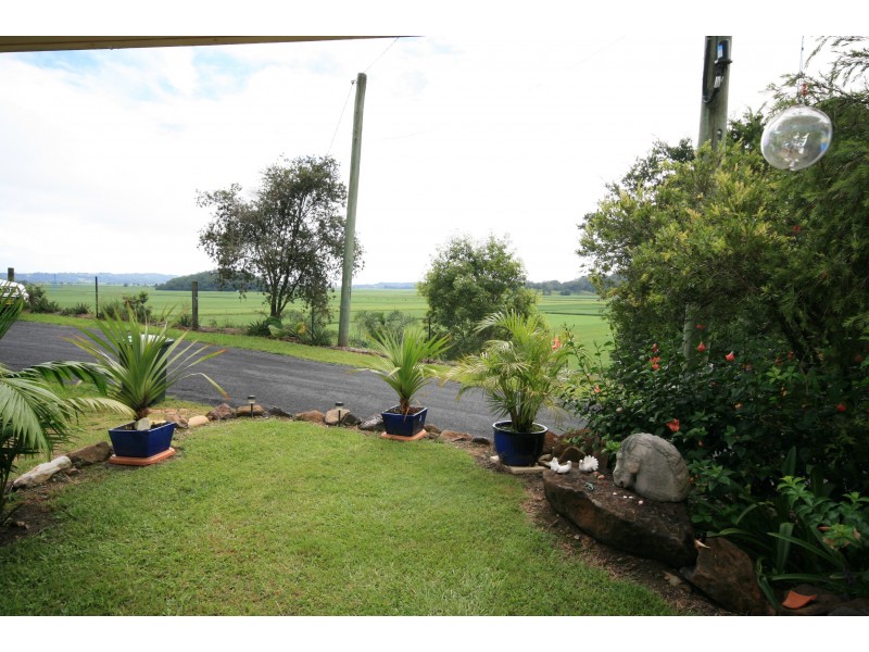 Murwillumbah NSW 2484