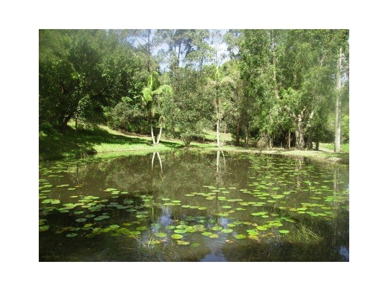 Federal NSW 2480