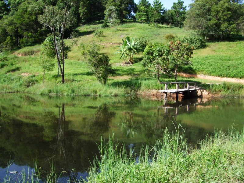 Cabarita Beach NSW 2488