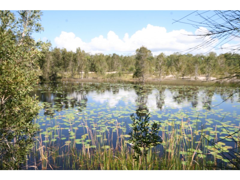 11 Caroline St, Pottsville NSW 2489