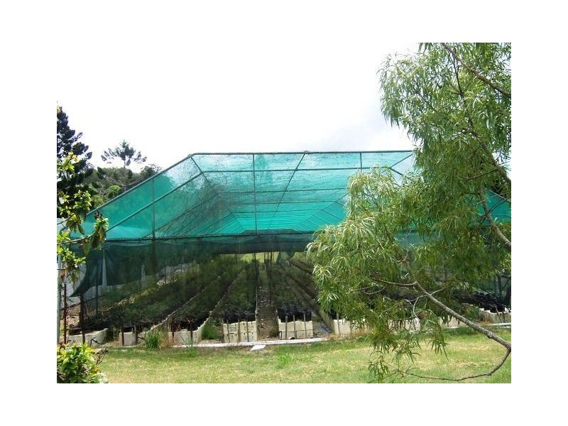 Crystal Creek NSW 2484