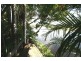 Cabarita Beach NSW 2488