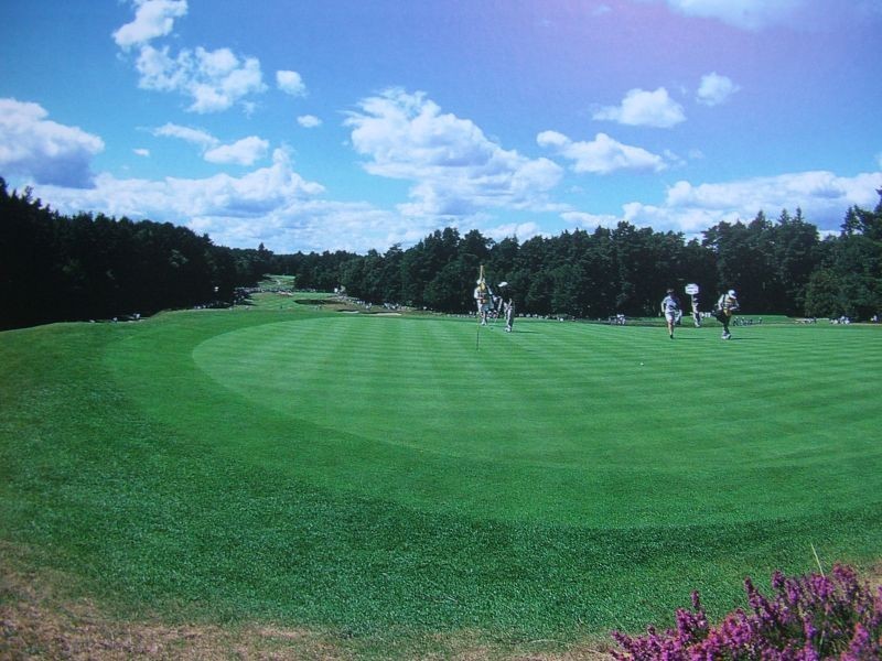 Murwillumbah NSW 2484