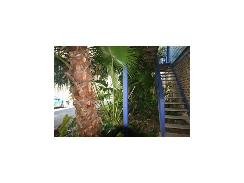 New Brighton NSW 2483