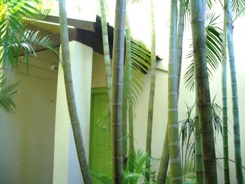 Cabarita Beach NSW 2488