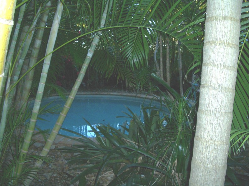 Cabarita Beach NSW 2488