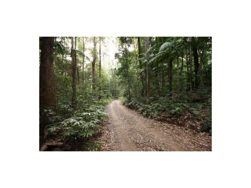 26 Byrill Creek Rd, Tyalgum NSW 2484