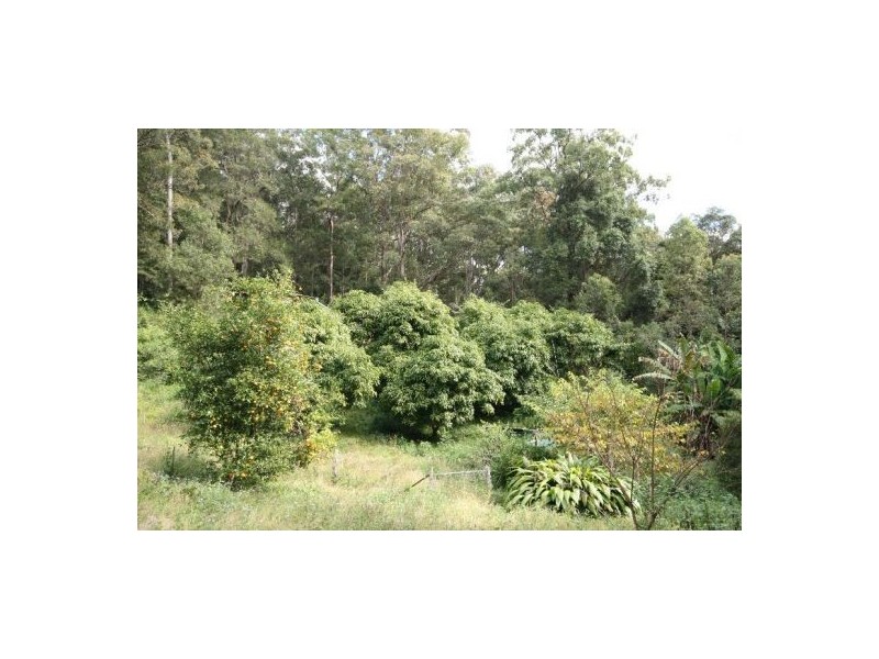 26 Byrill Creek Rd, Tyalgum NSW 2484