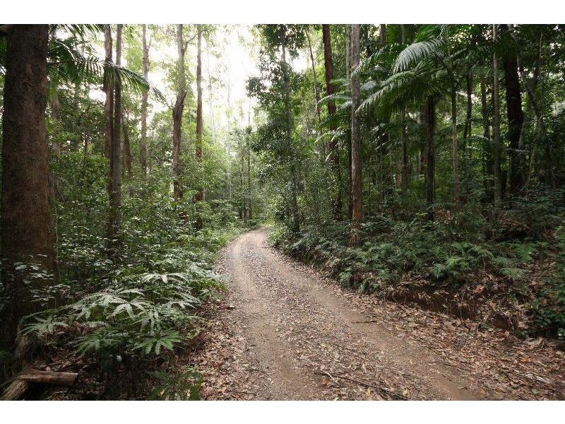 Murwillumbah NSW 2484