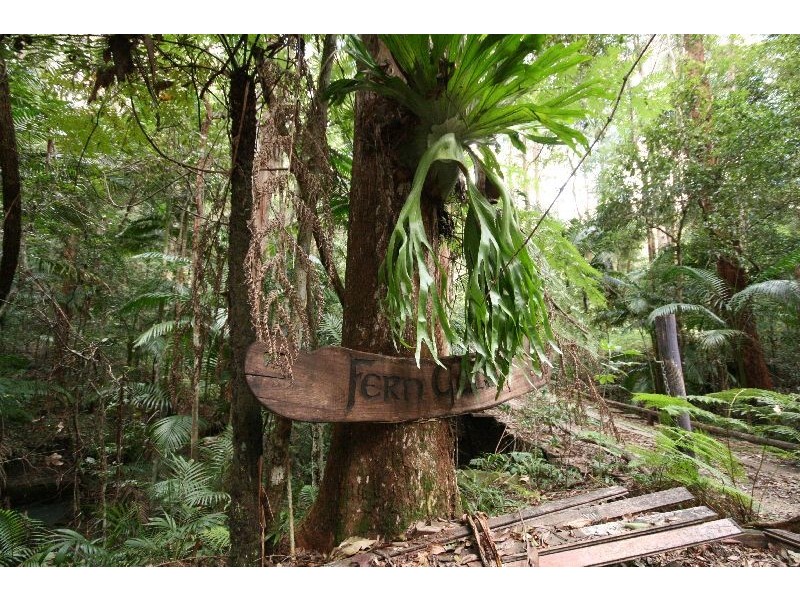 Murwillumbah NSW 2484