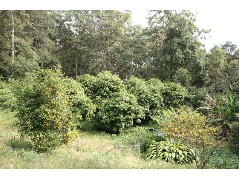 Murwillumbah NSW 2484