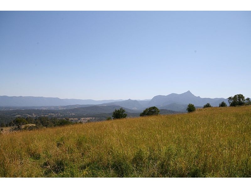 Commissioners Creek NSW 2484