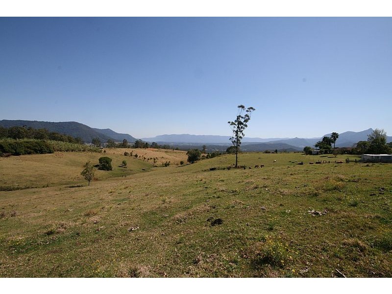 Commissioners Creek NSW 2484