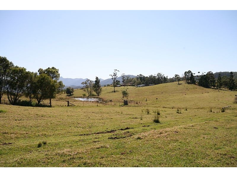 Commissioners Creek NSW 2484