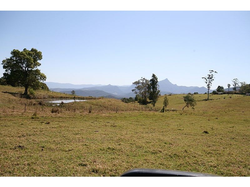 Commissioners Creek NSW 2484