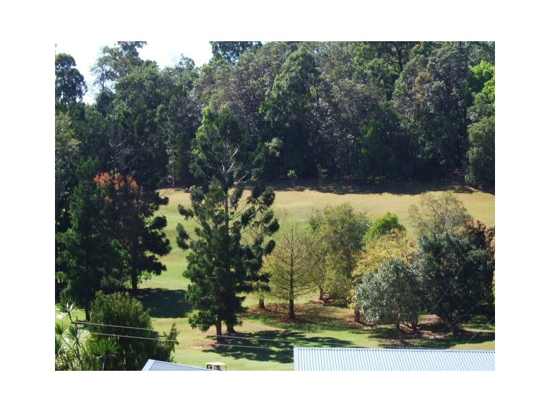 Murwillumbah NSW 2484