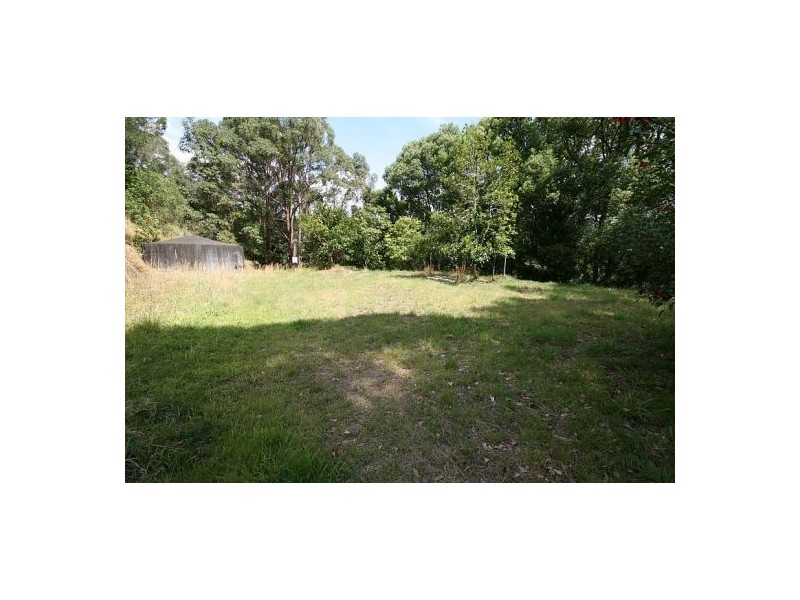 Cabarita Beach NSW 2488