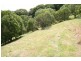 Cabarita Beach NSW 2488