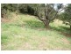 Cabarita Beach NSW 2488