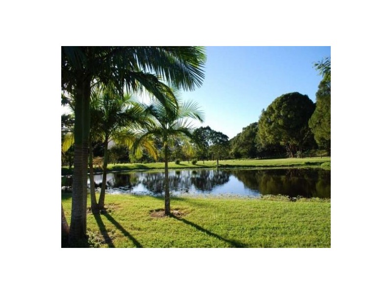 701 Adcocks Rd, Murwillumbah NSW 2484