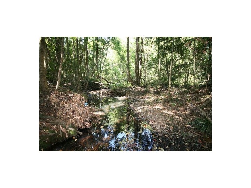 701 Adcocks Rd, Murwillumbah NSW 2484