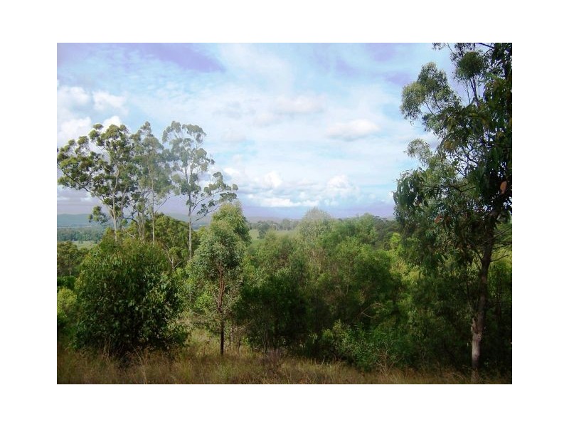 Hopkins Creek NSW 2484
