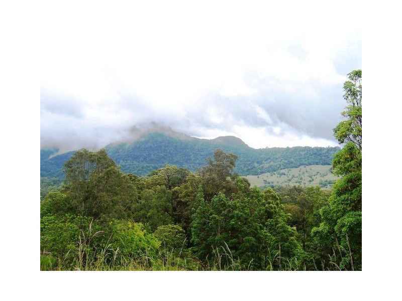 Hopkins Creek NSW 2484