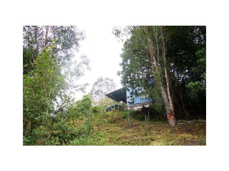 Hopkins Creek NSW 2484