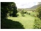 10 Tulipwood Ct, Murwillumbah NSW 2484