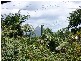 Murwillumbah NSW 2484