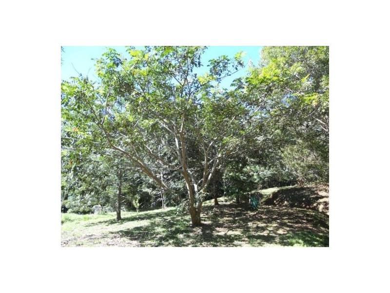 Chillingham NSW 2484